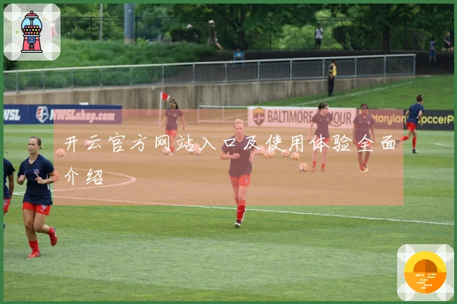开云官方网站入口及使用体验全面介绍