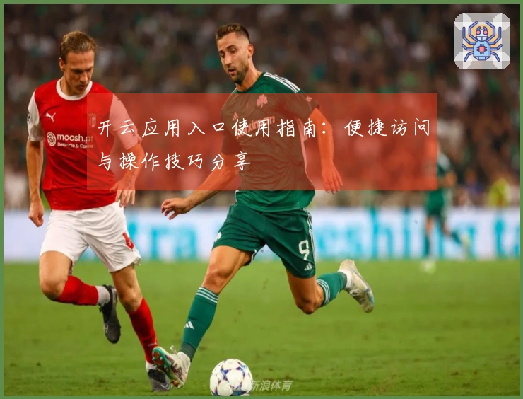 开云应用入口使用指南：便捷访问与操作技巧分享