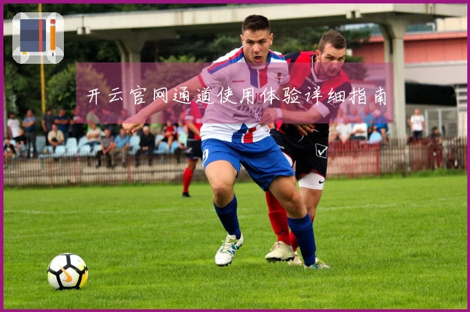 开云官网通道使用体验详细指南